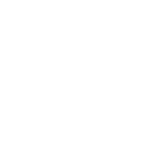 Allseg