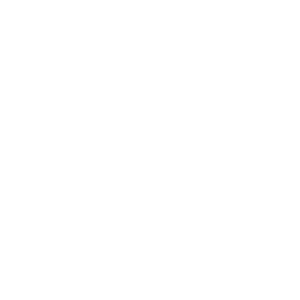 Maestra Esfiha