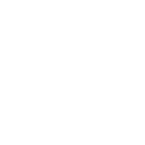 Maxi frota